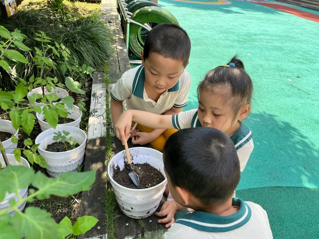 副业赚钱_【食育微项目】夏耘：夏日吃“瓜”乐_副业教程