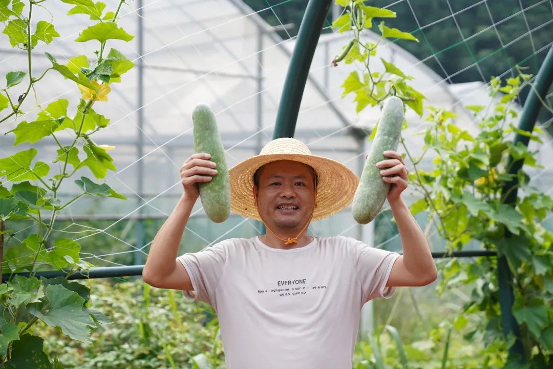 副业赚钱_共同富裕 杭州有力量 | 我们一起来“吃瓜”，一起呱呱呱~_副业教程