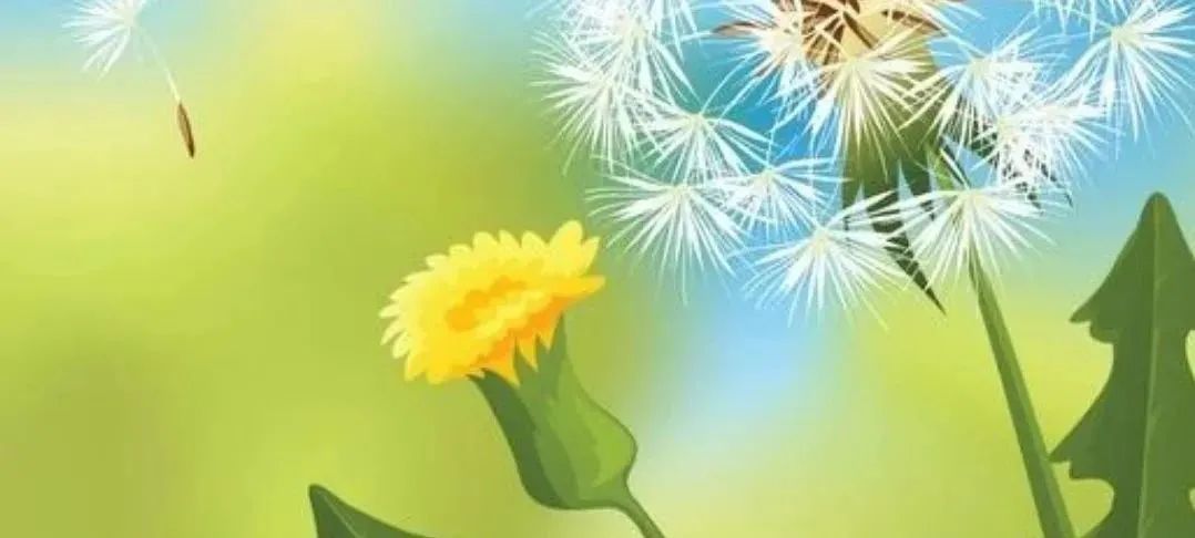 副业赚钱_日更公众号第63天，这13个方法引流，快速涨粉500，开通流量主（简单，高效，值得收藏）_副业教程