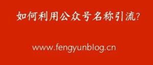 副业赚钱_风云博客:如何利用公众号名称引流?数据和操作方法都在这里_副业教程-逸佳笔记-专注于副业赚钱教程