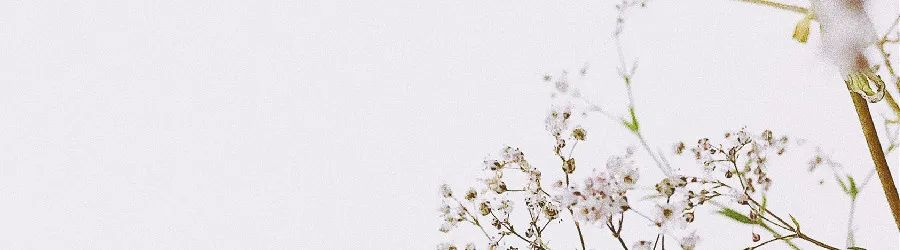 副业赚钱_新功能!公众号和视频号互相绑定,引流涨粉更方便了?_副业教程 副业赚钱_新功能!公众号和视频号互相绑定,引流涨粉更方便了?_副业教程