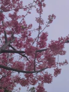 副业赚钱_手把手教你怎么运营好公众号_副业教程-逸佳笔记-专注于副业赚钱教程