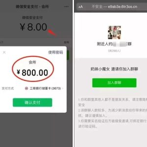 副业赚钱_“付费入群”吗？支付8元变800那种？_副业教程-逸佳笔记-专注于副业赚钱教程