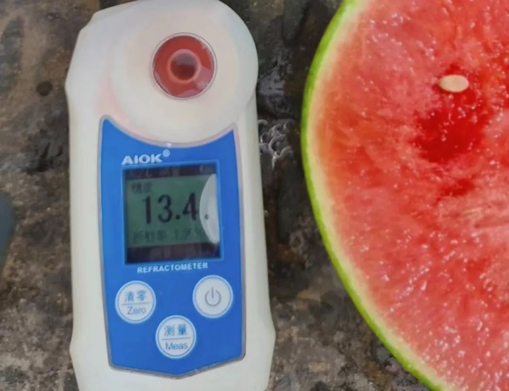 副业赚钱_甜蜜上市，枝江“吃瓜群众”集合！_副业教程