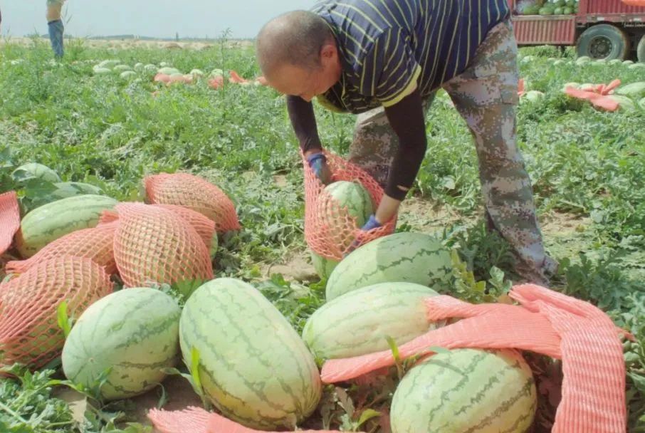 副业赚钱_来这里开启吃瓜模式_副业教程
