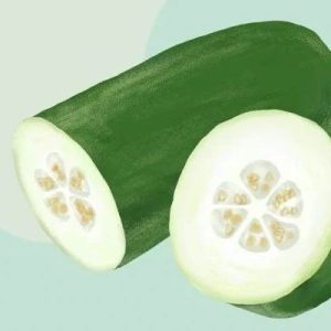 副业赚钱_三伏天吃三瓜指的哪三种瓜?_副业教程-逸佳笔记-专注于副业赚钱教程