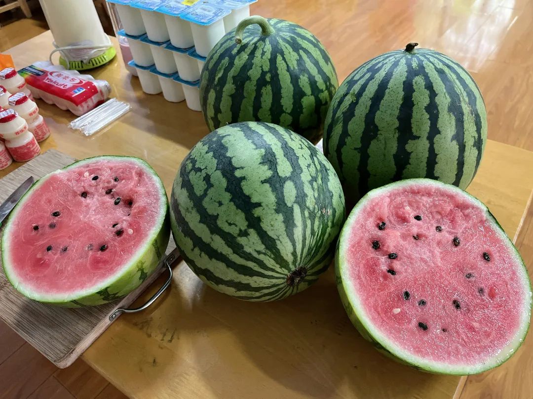 副业赚钱_【食育微项目】夏耘：夏日吃“瓜”乐_副业教程