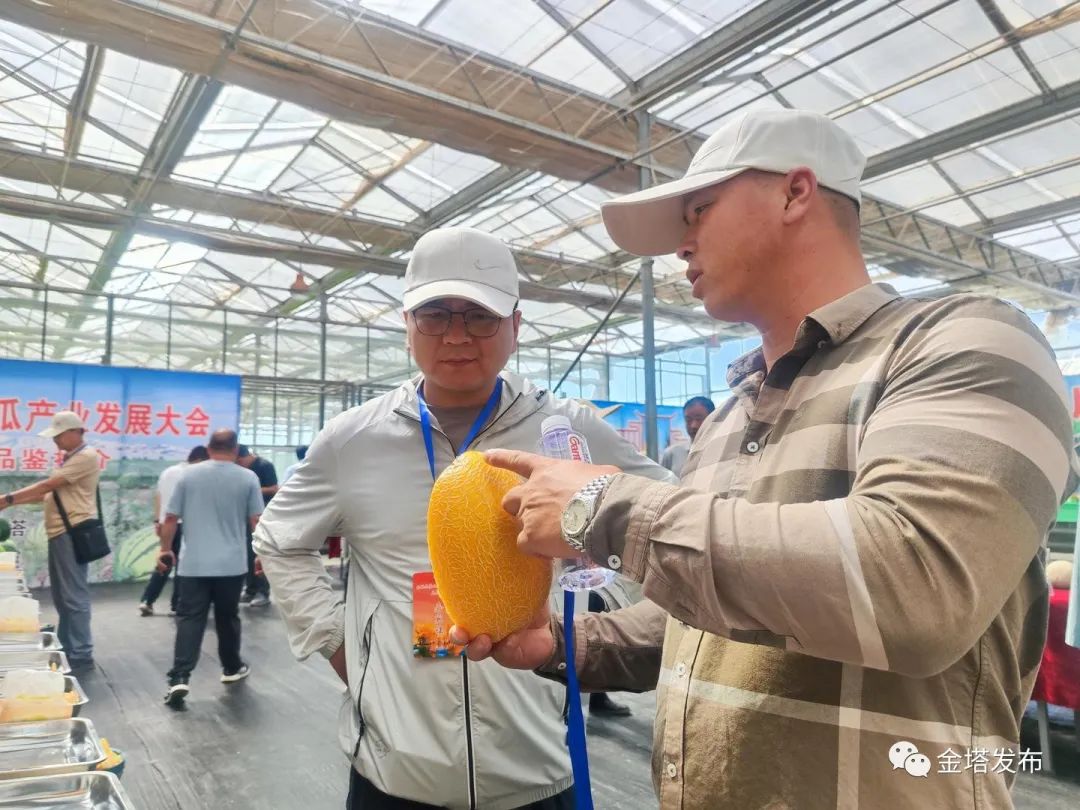 副业赚钱_以瓜为媒 共赴“甜蜜”之约——金塔县第二届西甜瓜产业发展大会侧记_副业教程