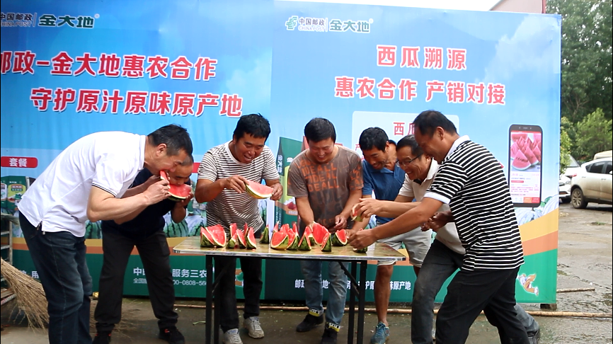 副业赚钱_惠农合作：一场吃瓜群众的“较量”，是太和“惠农样板”的嘉奖！_副业教程