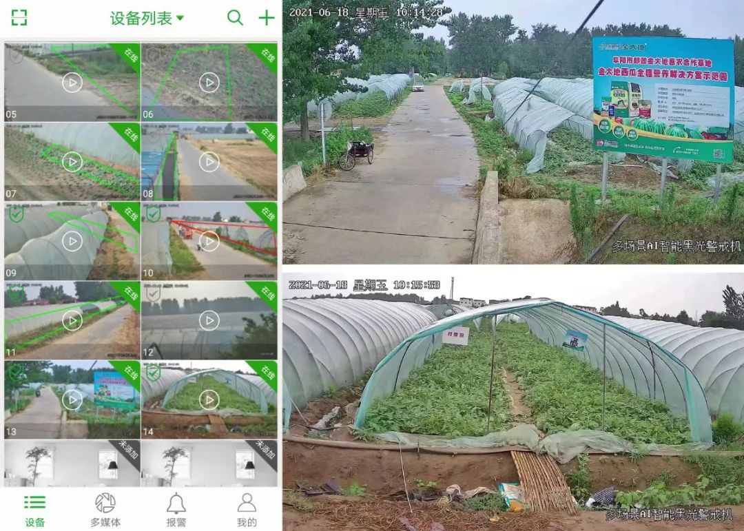 副业赚钱_惠农合作：一场吃瓜群众的“较量”，是太和“惠农样板”的嘉奖！_副业教程