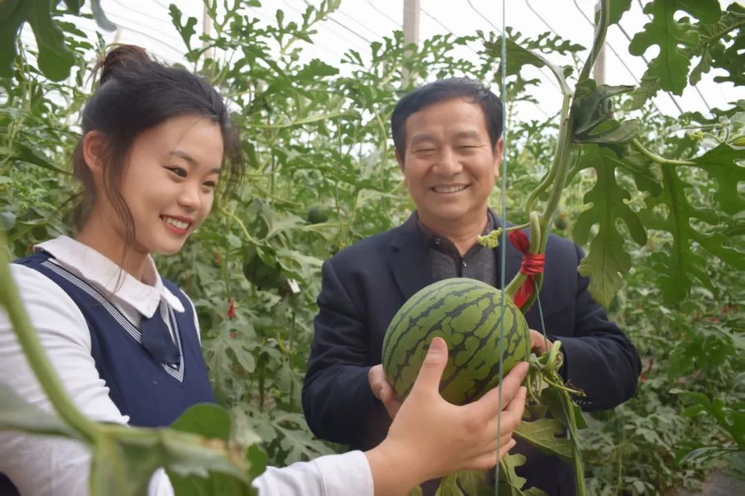 副业赚钱_这里的西瓜熟了，鲜甜多汁还可以采摘，快来做个“吃瓜群众”！_副业教程