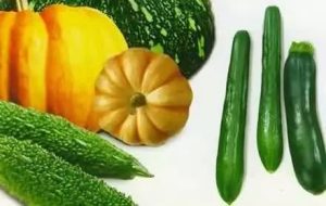 副业赚钱_【养生汇】今夏吃瓜要选这六件宝物，消暑降三高！_副业教程-逸佳笔记-专注于副业赚钱教程