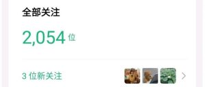 副业赚钱_分享一个新手做公众号引流的方法_副业教程-逸佳笔记-专注于副业赚钱教程