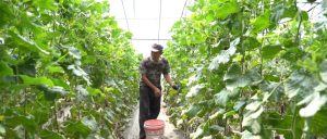 副业赚钱_黄河口镇喊你来吃瓜！_副业教程-逸佳笔记-专注于副业赚钱教程