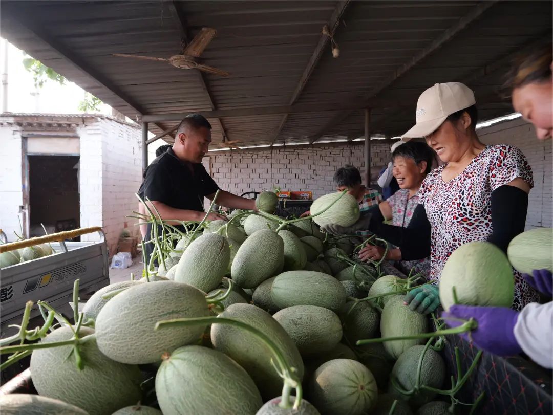 副业赚钱_走！吃瓜去→_副业教程