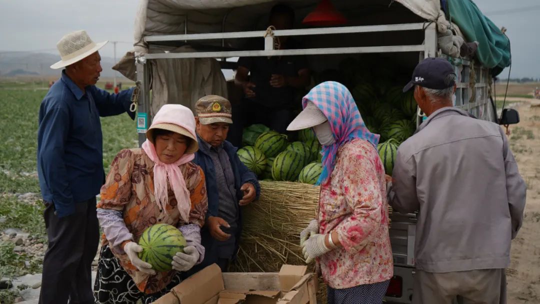 副业赚钱_糜滩镇独石村：西瓜“抢鲜”上市 开启夏日“吃瓜模式”_副业教程