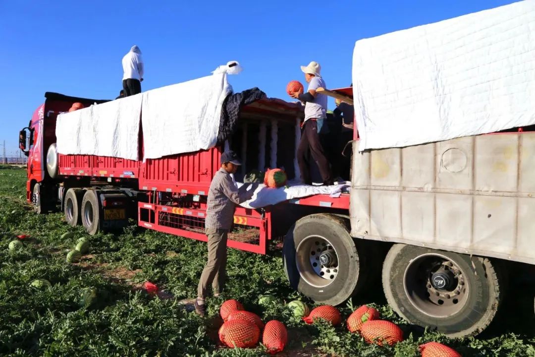 副业赚钱_来这里开启吃瓜模式_副业教程