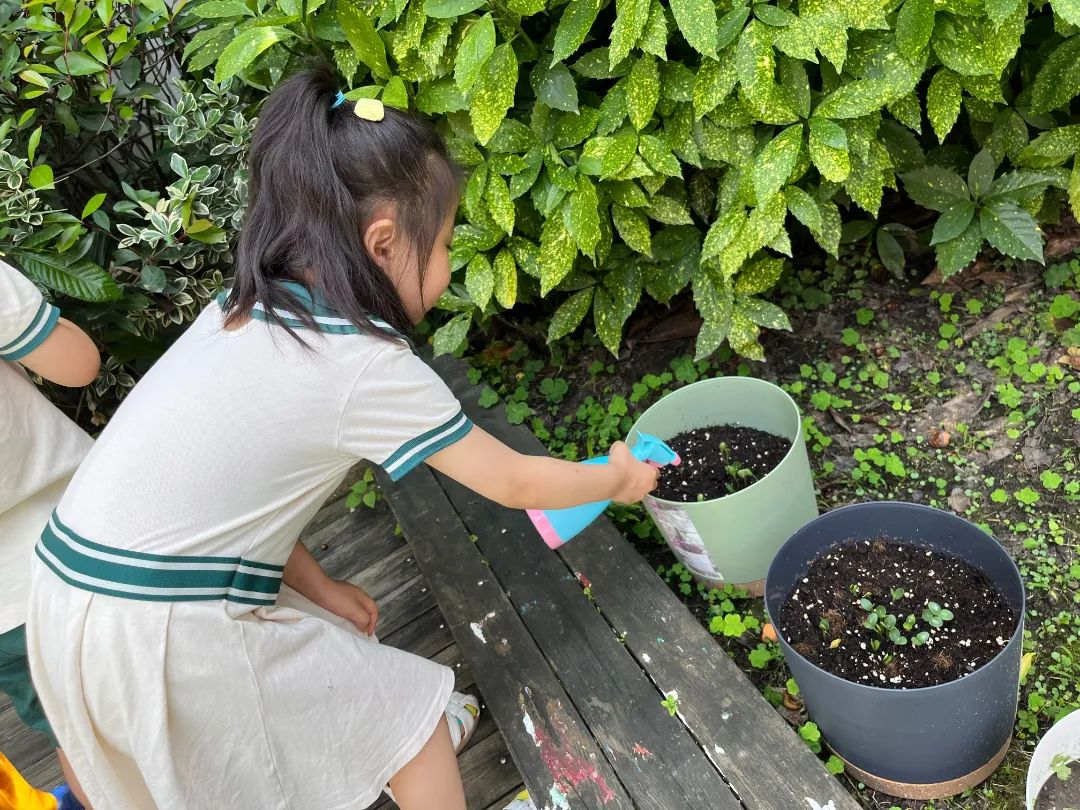 副业赚钱_【食育微项目】夏耘：夏日吃“瓜”乐_副业教程