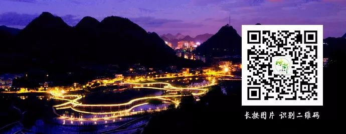 副业赚钱_滞销瓜地迎来“吃瓜好群众”，石桥镇30亩小瓜畅销_副业教程