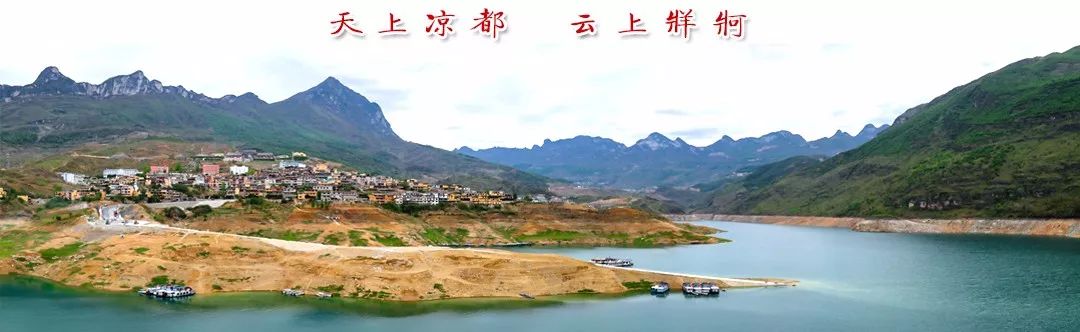 副业赚钱_滞销瓜地迎来“吃瓜好群众”，石桥镇30亩小瓜畅销_副业教程