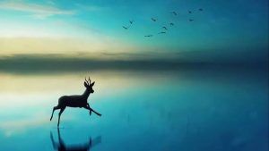 副业赚钱_QQ群引流——暴利赚钱的基础（上）_副业教程-逸佳笔记-专注于副业赚钱教程