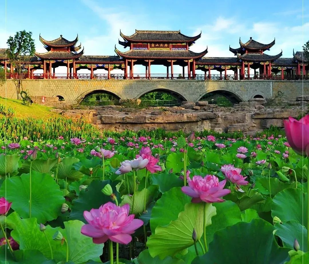 副业赚钱_江津“吃瓜群众”集合！量大管饱~_副业教程