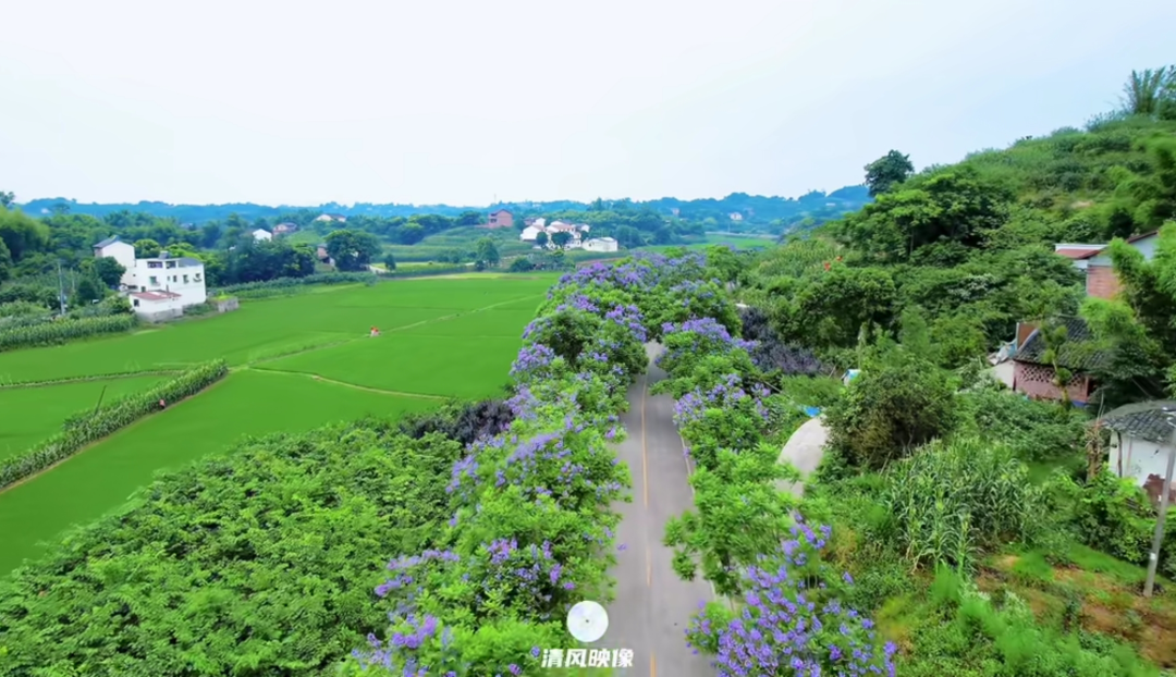 副业赚钱_江津“吃瓜群众”有福了！量大管饱~_副业教程