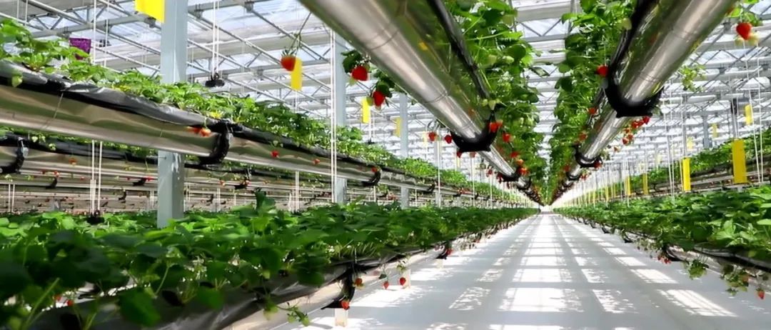 副业赚钱_再过十天,一场全国“土特产”的盛会将在夏邑举行!_副业教程 副业赚钱_再过十天,一场全国“土特产”的盛会将在夏邑举行!_副业教程