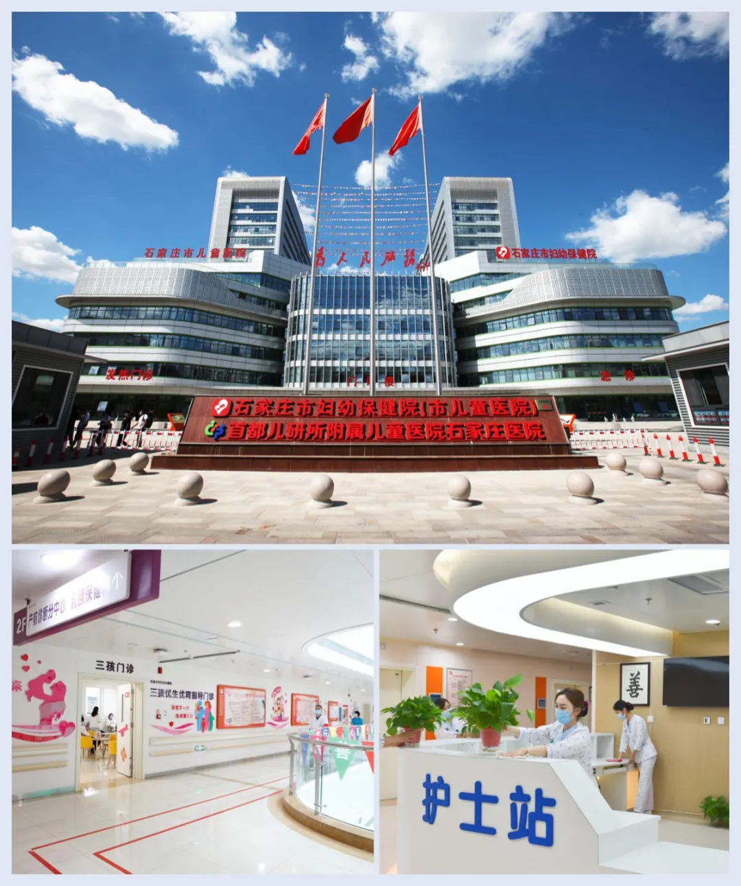 副业赚钱_【科普】隔夜西瓜还能吃吗？夏天如何健康吃瓜？_副业教程