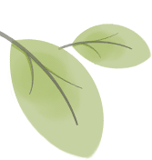 副业赚钱_健康科普 | 夏天隔夜西瓜还能吃吗？怎么健康吃瓜？_副业教程