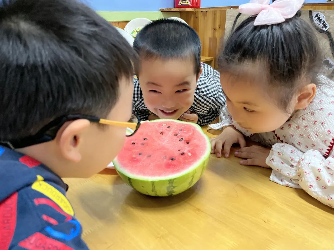 副业赚钱_【食育微项目】夏耘：夏日吃“瓜”乐_副业教程