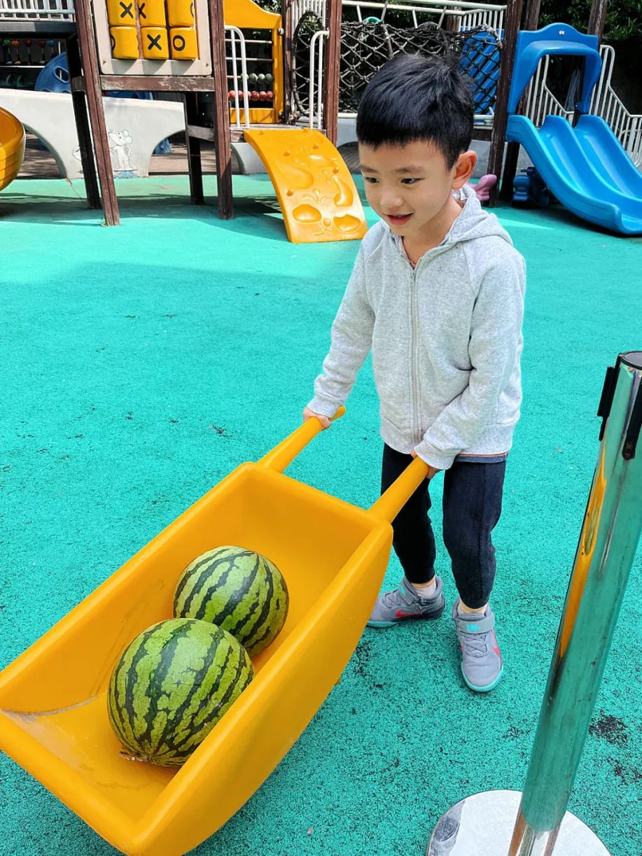 副业赚钱_【食育微项目】夏耘：夏日吃“瓜”乐_副业教程