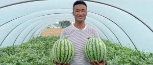 副业赚钱_惠农合作：一场吃瓜群众的“较量”，是太和“惠农样板”的嘉奖！_副业教程-逸佳笔记-专注于副业赚钱教程