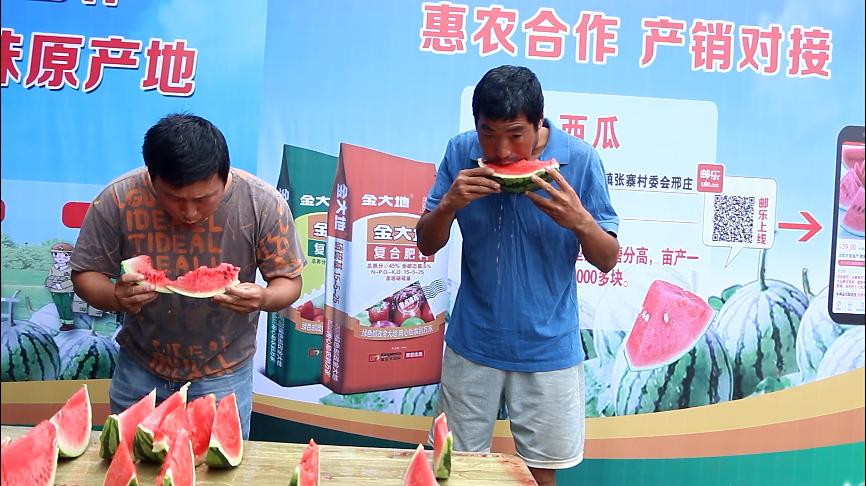 副业赚钱_惠农合作：一场吃瓜群众的“较量”，是太和“惠农样板”的嘉奖！_副业教程