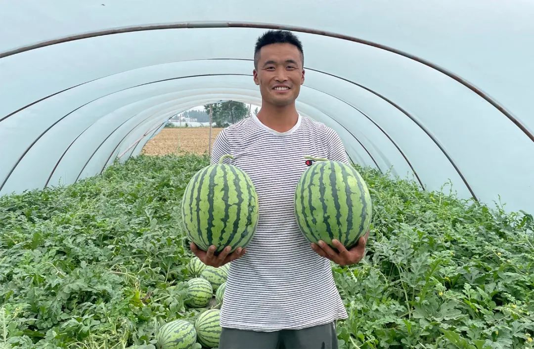 副业赚钱_惠农合作：一场吃瓜群众的“较量”，是太和“惠农样板”的嘉奖！_副业教程