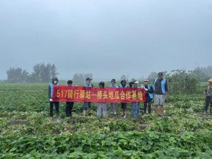 副业赚钱_疫不容辞！卖瓜明志！517邀你来吃瓜！_副业教程-逸佳笔记-专注于副业赚钱教程