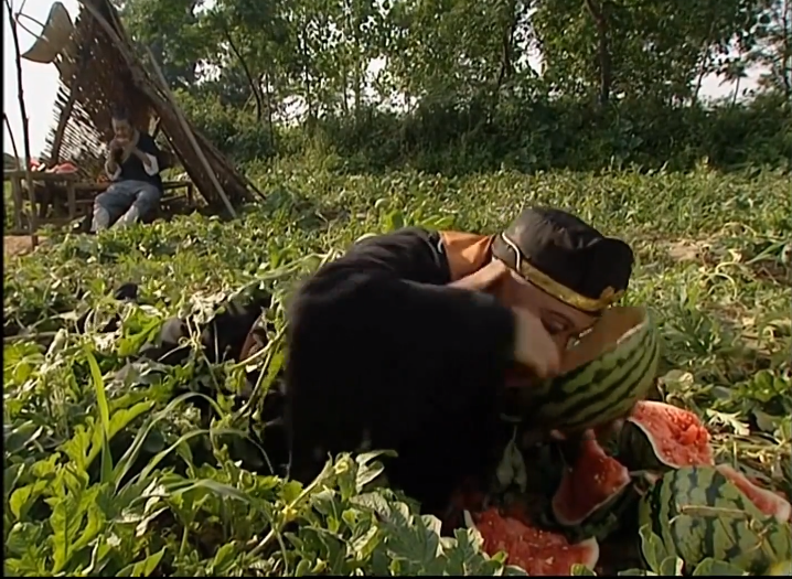 副业赚钱_夏天是属于吃瓜群众的!_副业教程 副业赚钱_夏天是属于吃瓜群众的!_副业教程