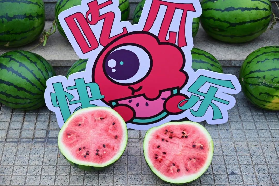 副业赚钱_来吃瓜！_副业教程