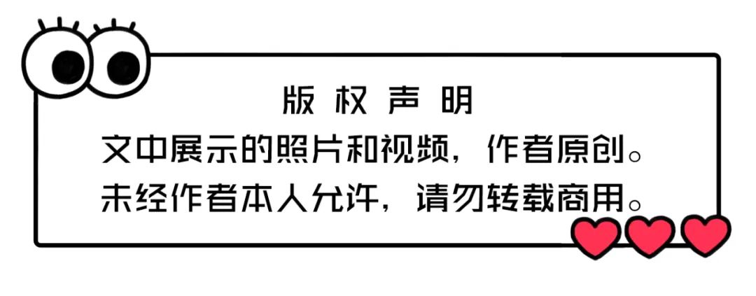 副业赚钱_公众号成私域引流神器,不做无疑是放弃了铁饭碗!_副业教程 副业赚钱_公众号成私域引流神器,不做无疑是放弃了铁饭碗!_副业教程