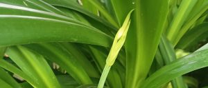 副业赚钱_小白也能玩转公众号：我的运营心得分享_副业教程-逸佳笔记-专注于副业赚钱教程