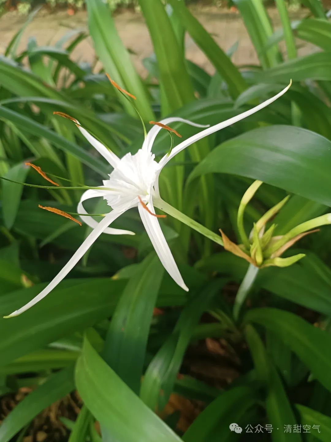 副业赚钱_小白也能玩转公众号：我的运营心得分享_副业教程