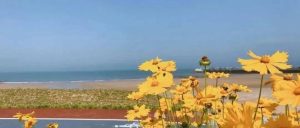 副业赚钱_1元/个，QQ引流，每天都有，简单操作，可长期做~_副业教程-逸佳笔记-专注于副业赚钱教程