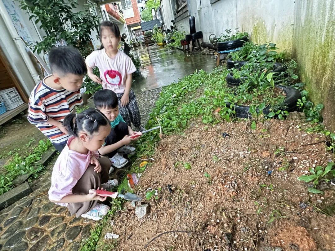 副业赚钱_【项目课程·滨江】一起吃瓜 | 小三班项目课程_副业教程 副业赚钱_【项目课程·滨江】一起吃瓜 | 小三班项目课程_副业教程