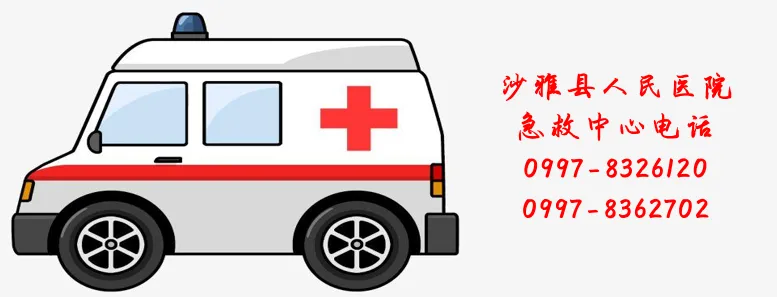 副业赚钱_【健康科普】夏天宜吃六种瓜，看看都是什么瓜_副业教程