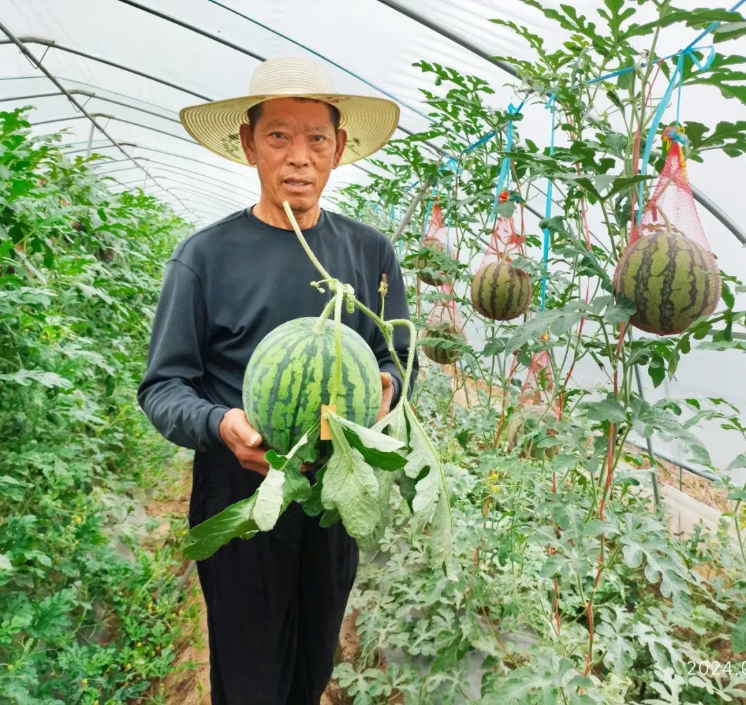 副业赚钱_【铜陵头条0613】2024年铜陵普高招生计划出炉！|最高35℃！注意防暑降温！|建议取消衡山大道停车位？回复来了！_副业教程