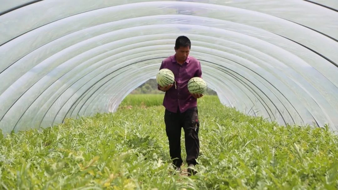 副业赚钱_“吃瓜”有秘籍！_副业教程