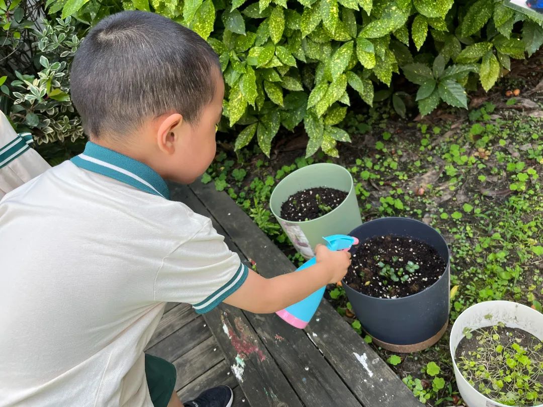 副业赚钱_【食育微项目】夏耘：夏日吃“瓜”乐_副业教程