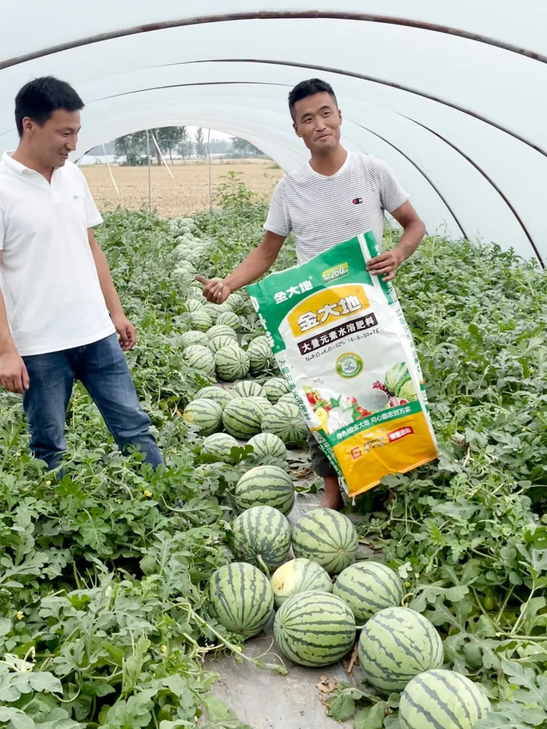 副业赚钱_惠农合作：一场吃瓜群众的“较量”，是太和“惠农样板”的嘉奖！_副业教程