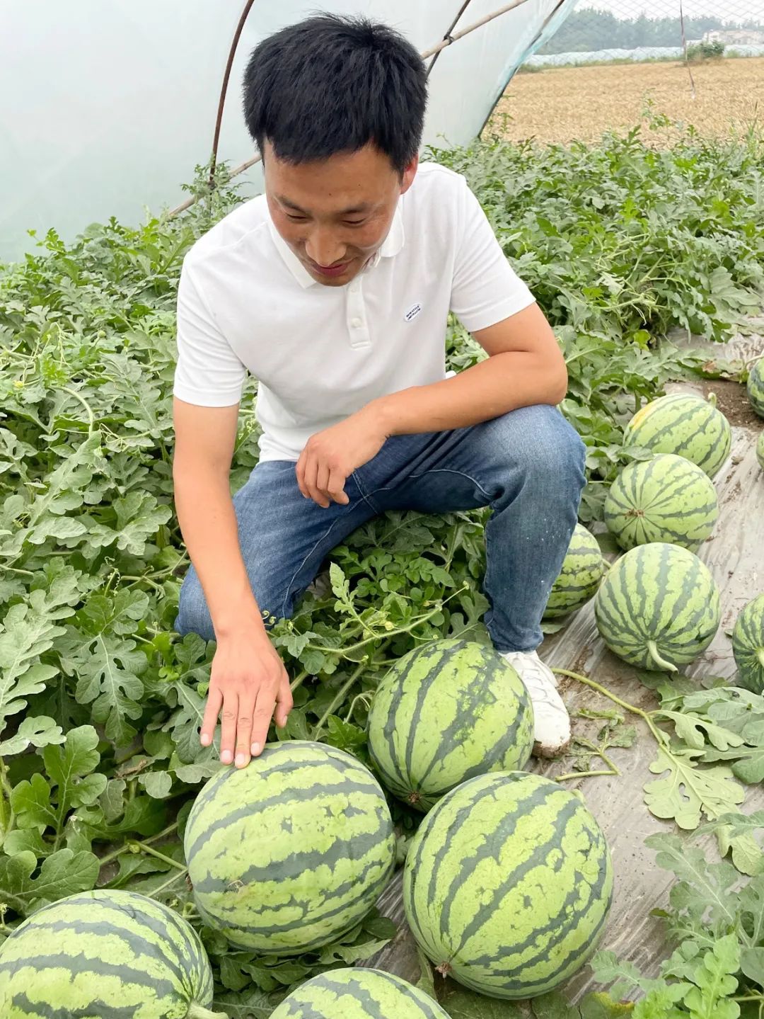 副业赚钱_惠农合作：一场吃瓜群众的“较量”，是太和“惠农样板”的嘉奖！_副业教程