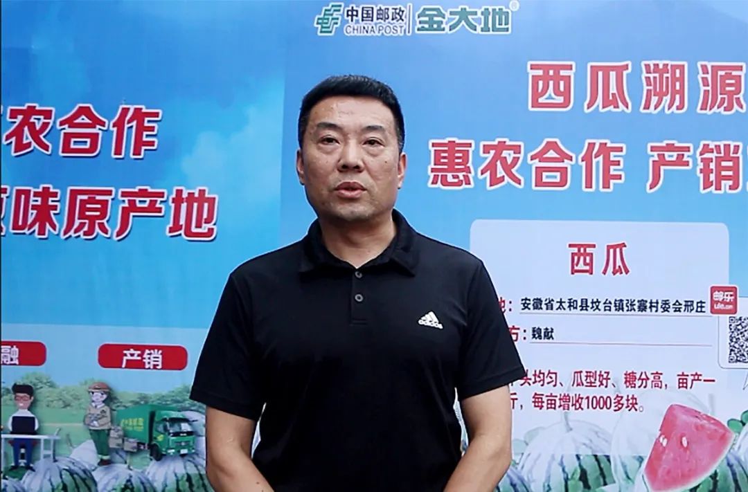 副业赚钱_惠农合作：一场吃瓜群众的“较量”，是太和“惠农样板”的嘉奖！_副业教程